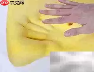 记忆枕选购技巧全攻略