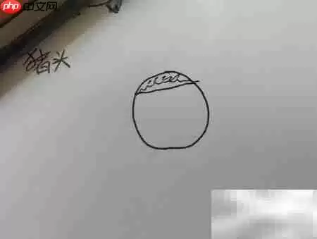 圆圈画猪头，简单几步搞定