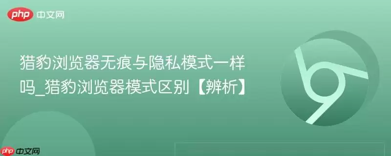 猎豹浏览器无痕与隐私模式一样吗_猎豹浏览器模式区别【辨析】
