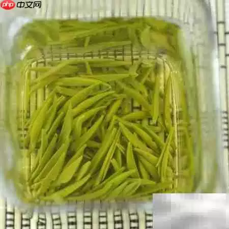 茶叶分类全解析