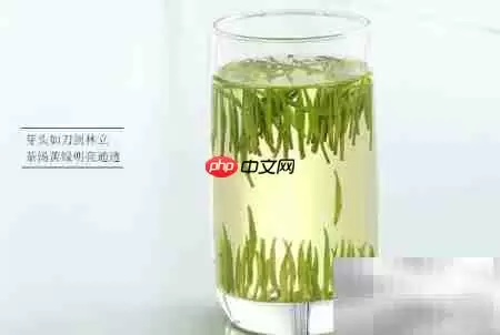 茶叶分类全解析