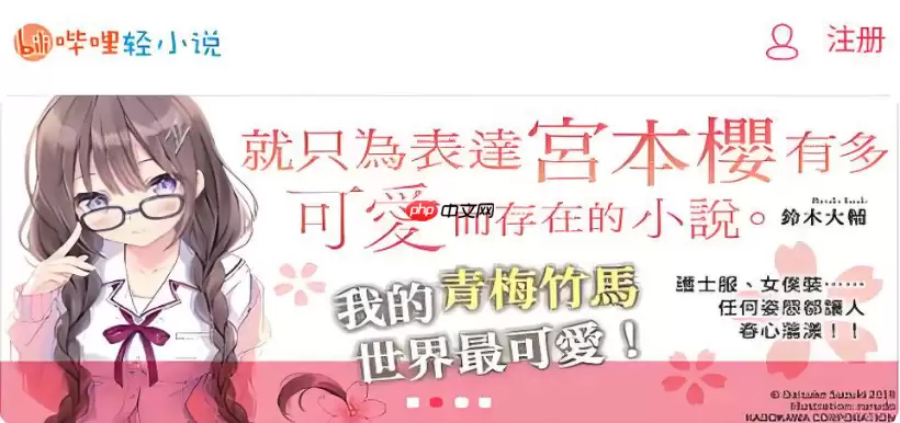 哔哩哔哩轻小说密码忘了找回与重置流程【帮助】