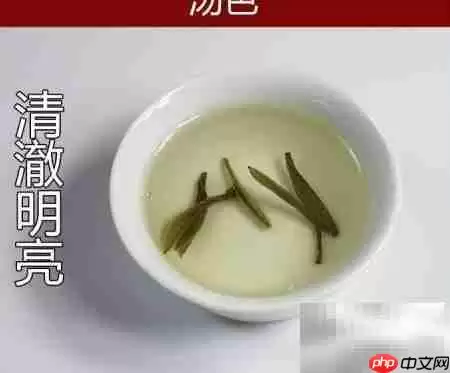 茶叶分类全解析