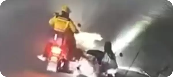 两女子骑车遭遇犬只追逐撕咬 外卖小哥出手相助驱赶 官方通报:犬主人被拘留