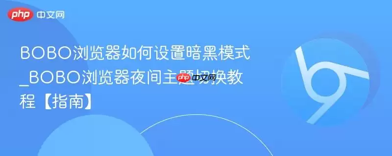 BOBO浏览器如何设置暗黑模式_BOBO浏览器夜间主题切换教程【指南】
