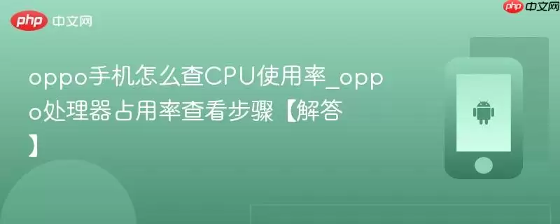 oppo手机怎么查CPU使用率_oppo处理器占用率查看步骤【解答】