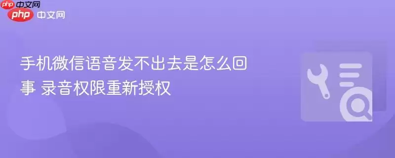 手机微信语音发不出去是怎么回事 录音权限重新授权