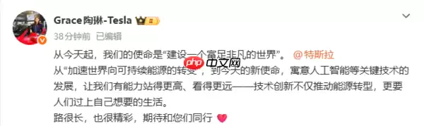 特斯拉副总裁回应新使命:要人们过上自己想要的生活