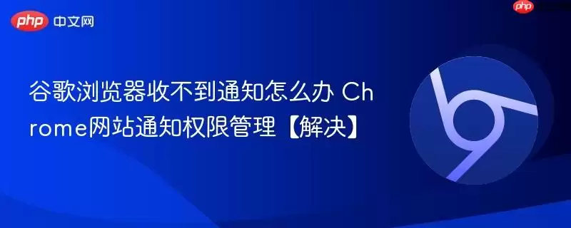谷歌浏览器收不到通知怎么办 Chrome 通知权限管理【解决】