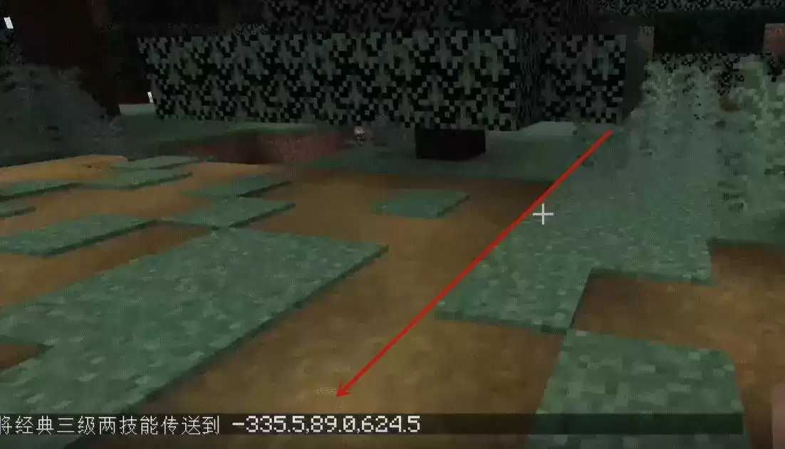 我的世界指令代码传送到村庄怎么用