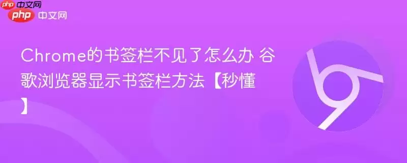 Chrome的书签栏不见了怎么办 谷歌浏览器显示书签栏方法【秒懂】