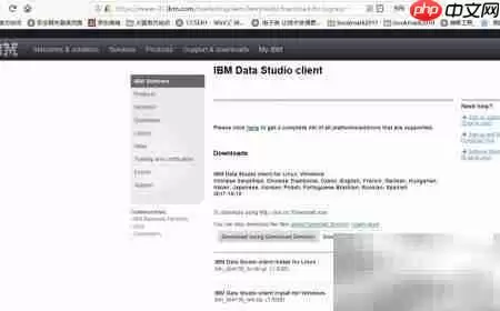 Data Studio 4.1.3 客户端下载