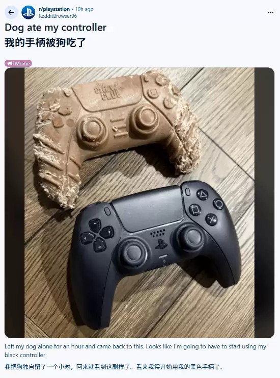 宠物狗啃游戏手柄？实为仿制磨牙玩具引热议