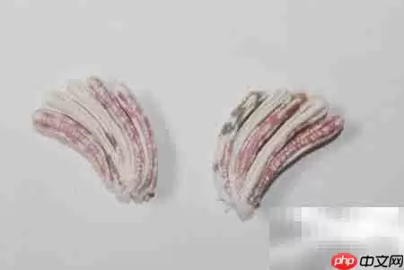 布艺银杏叶制作教程