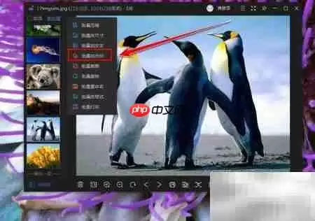 金山WPS批量加水印教程