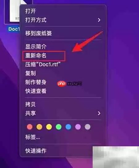 RTF转Word：快速转换技巧