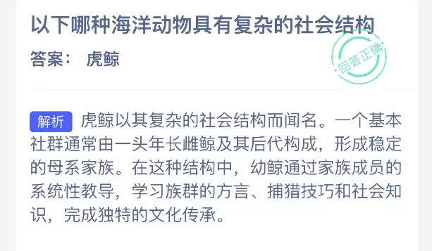 以下哪种海洋动物具有复杂的社会结构