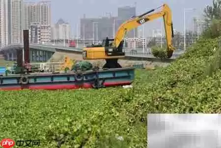 挖掘机驾驶技巧全解析