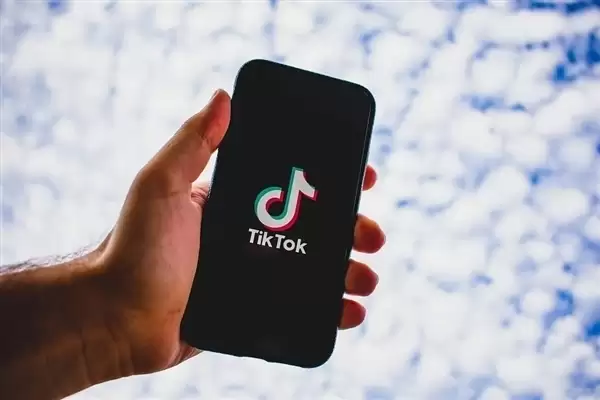 加拿大法院推翻政府TikTok禁令 允许应用暂时继续运营