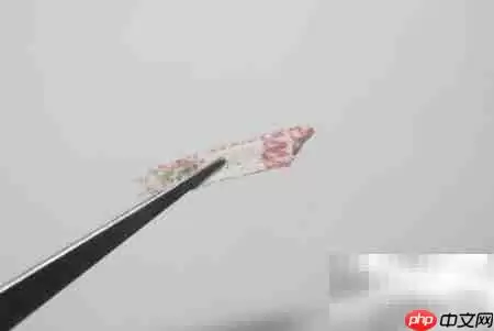 布艺银杏叶制作教程