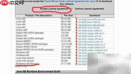 Java SDK下载指南