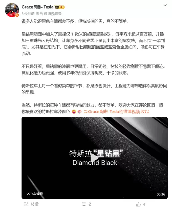 特斯拉总裁陶琳：特斯拉的黑 真的不简单