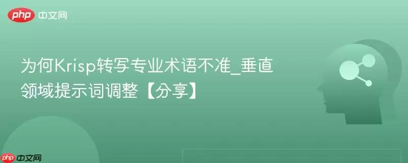 为何Krisp转写专业术语不准_垂直领域提示词调整【分享】