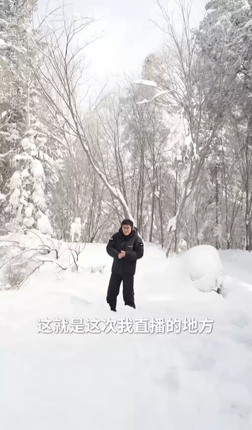零下30℃雪原百小时极限挑战:AI识图求生