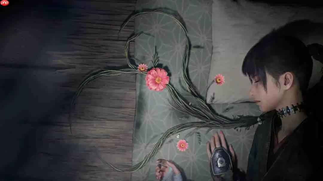 一听音乐就懂了！外媒称《轮回之兽》处处都是《尼尔》的影子