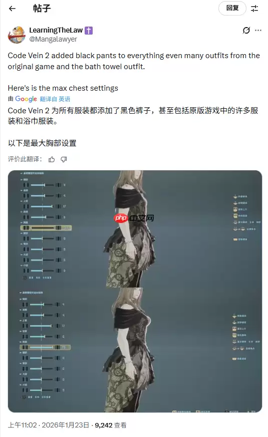 《噬血代码2》将角色裹得严严实实 玩家吐槽胸部太小