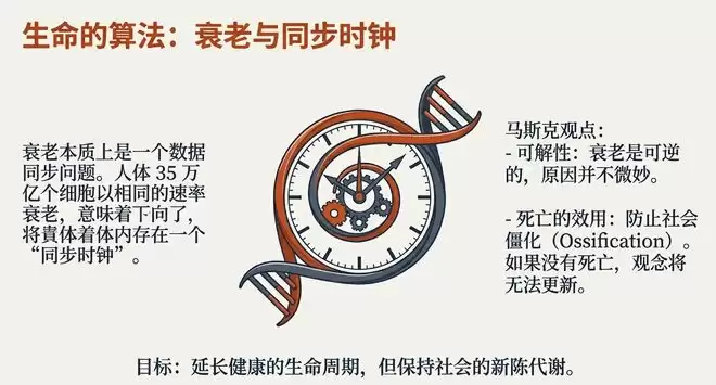 马斯克:美国AI缺电得靠中国,FSD入华已进倒计时