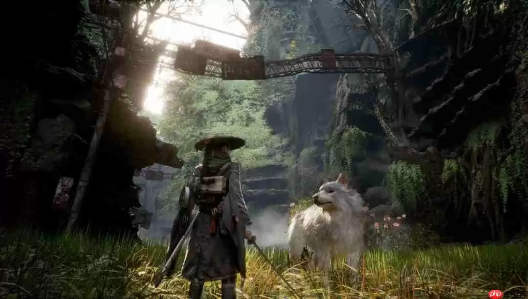 一听音乐就懂了！外媒称《轮回之兽》处处都是《尼尔》的影子