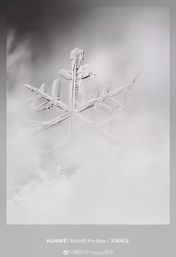 华为Mate80 Pro Max神了！10倍长焦拍雪花 冰晶质感拉满