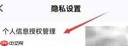 平安金管家授权管理指南
