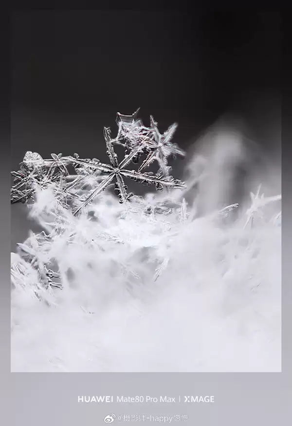 华为Mate80 Pro Max神了！10倍长焦拍雪花 冰晶质感拉满