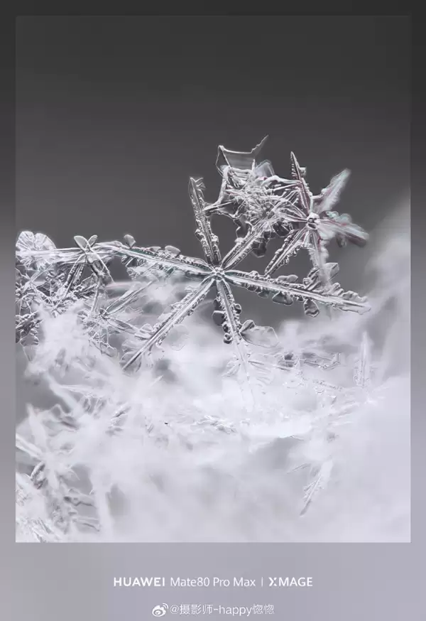 华为Mate80 Pro Max神了！10倍长焦拍雪花 冰晶质感拉满