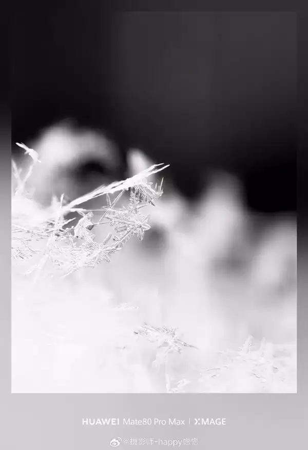 华为Mate80 Pro Max神了！10倍长焦拍雪花 冰晶质感拉满