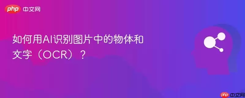 如何用AI识别图片中的物体和文字（OCR）？
