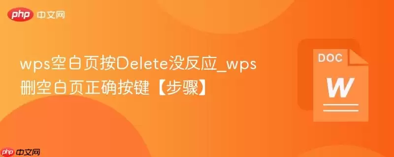 wps空白页按Delete没反应_wps删空白页正确按键【步骤】
