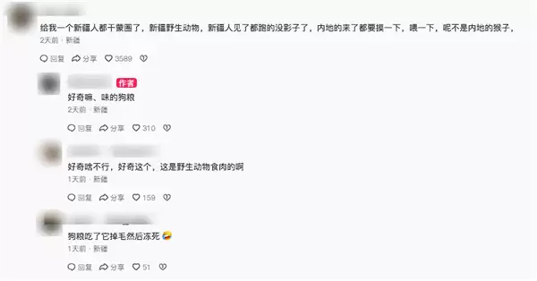 男子投喂野生狐狸被咬住手不松口 当事人：纯好奇 喂的狗粮