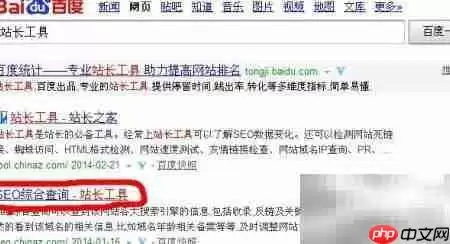 用站长老工具查 基础信息