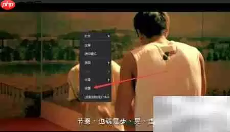 风影播放器置顶设置方法