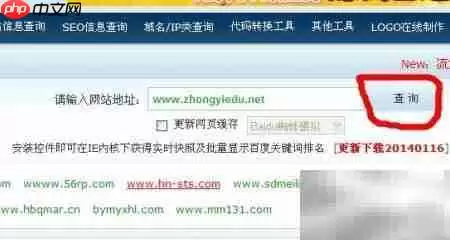 用站长老工具查 基础信息