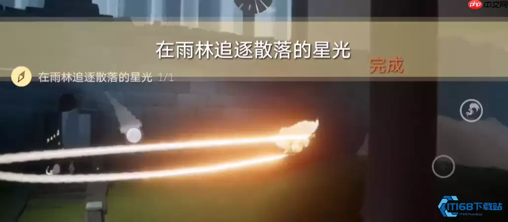 雨林散落的星光任务终极指南