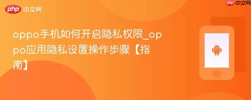oppo手机如何开启隐私权限_oppo应用隐私设置操作步骤【指南】