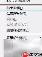 任务管理器进程栏的作用解析