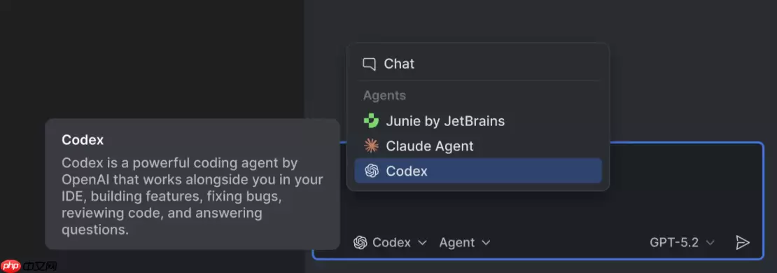 JetBrains IDE 现已集成 OpenAI Codex