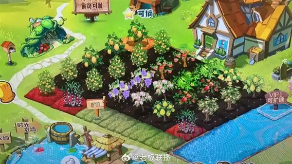 80 90后的养老游戏回来了!马化腾官宣:QQ农场将回归