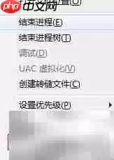 任务管理器进程栏的作用解析