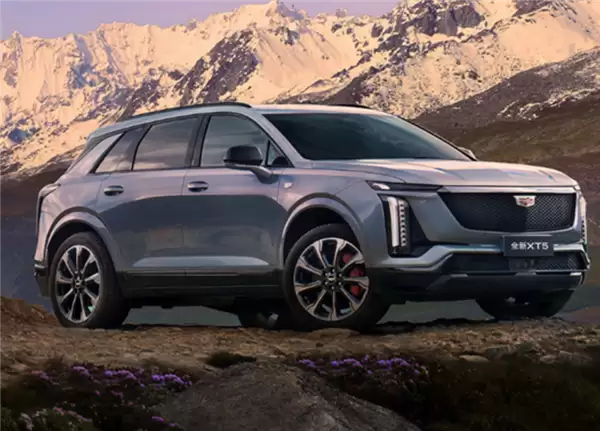 通用汽车急了！加拿大下调中国电动车关税 遭其带头反对